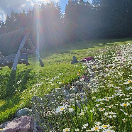 Ferienhof Obertenn Hochfilzen Kültér fotó