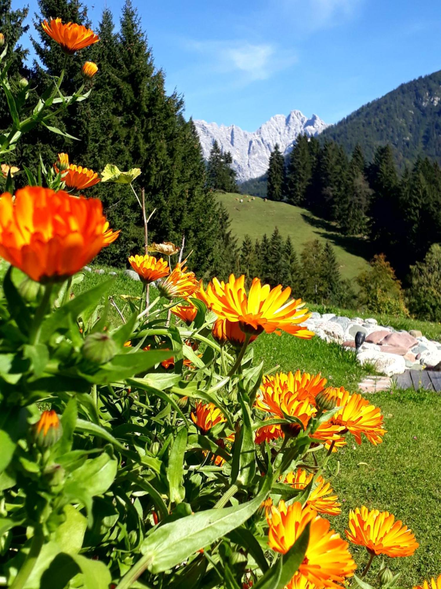 Ferienhof Obertenn Hochfilzen Kültér fotó