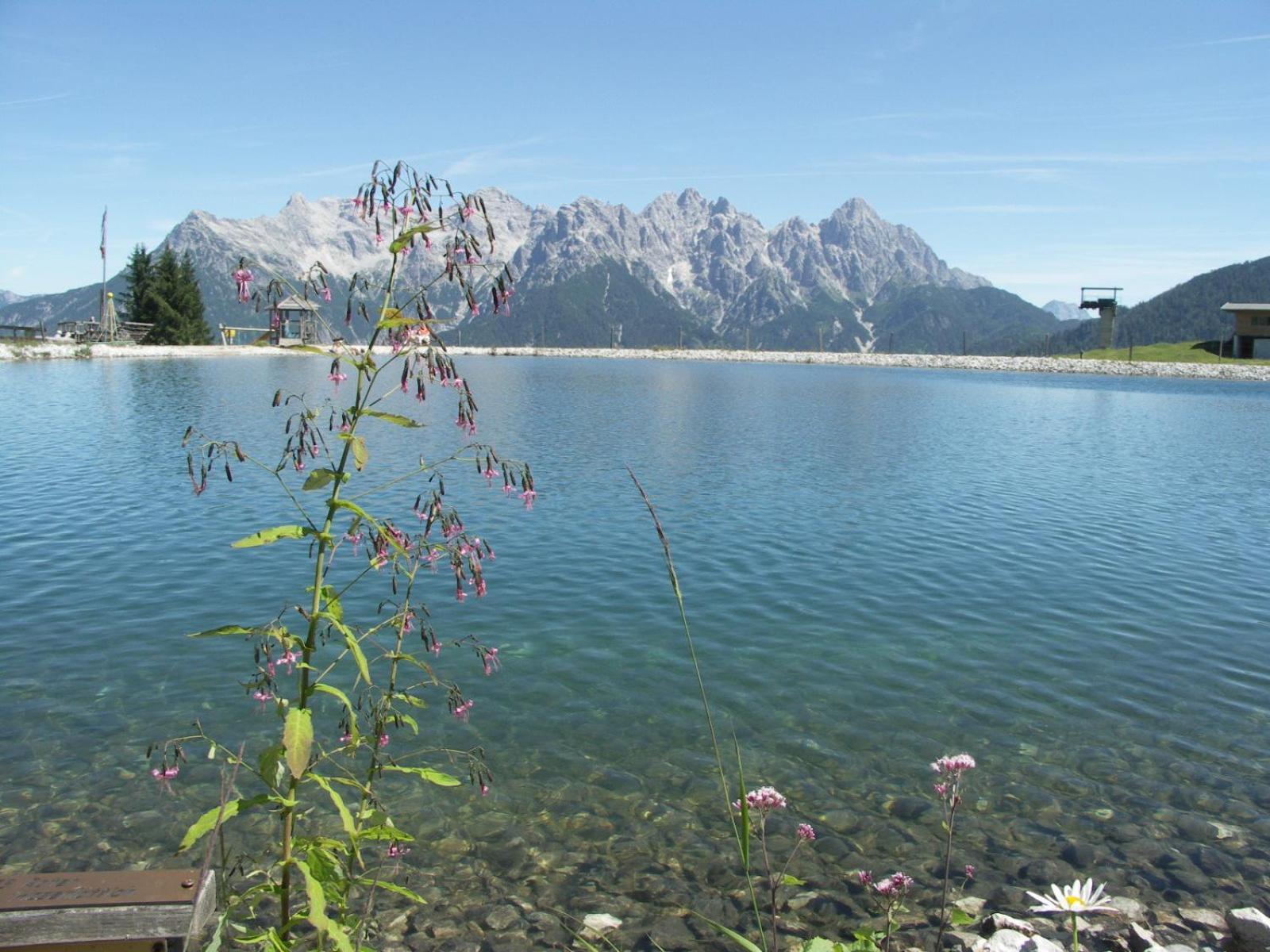 Ferienhof Obertenn Hochfilzen Kültér fotó